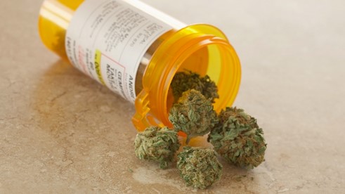 cannabis in pill bottle