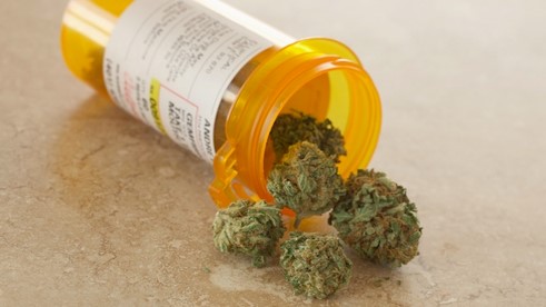 Healdsburg will host two retail dispensaries.