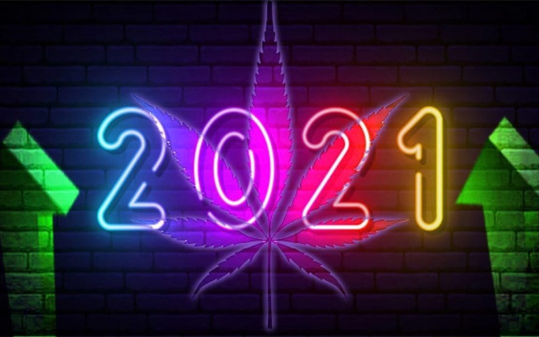 cannabis new year 2021