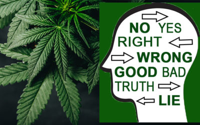 The Good, the Bad, and the Ugly: Cannabis Scandal in Sonoma