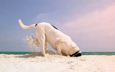Digging Deeper