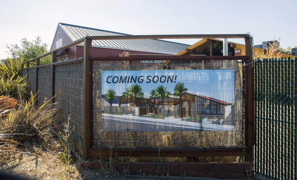 Sonoma City Council opens door to second walk-in dispensary