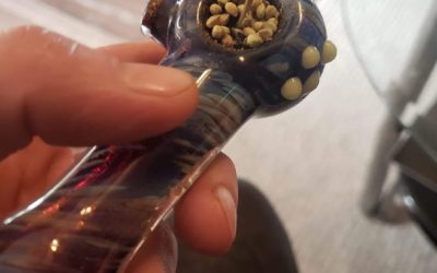 If 2020 was a bowl…